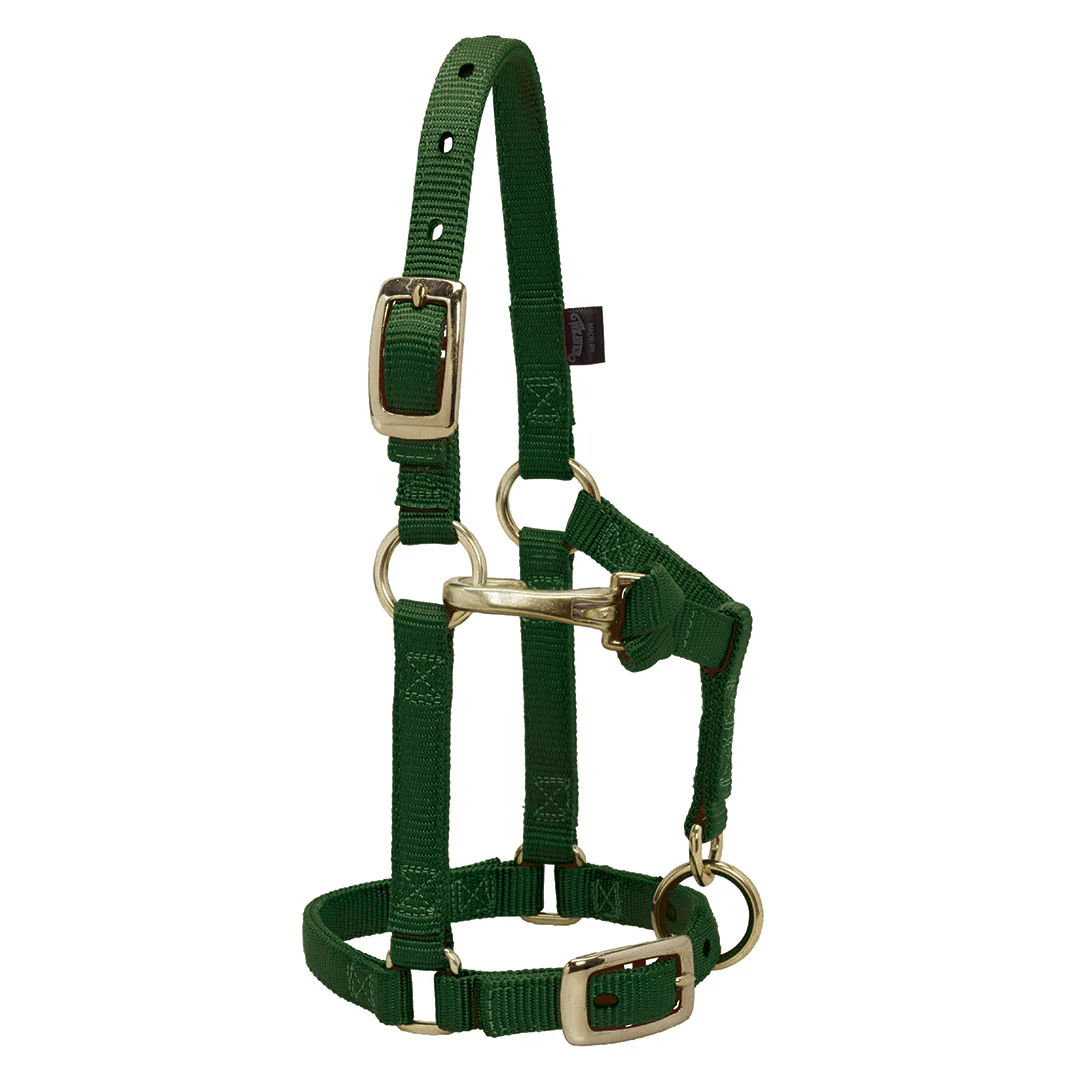 Weaver Miniature Horse Adjustable Throat Snap Halter - Image 3