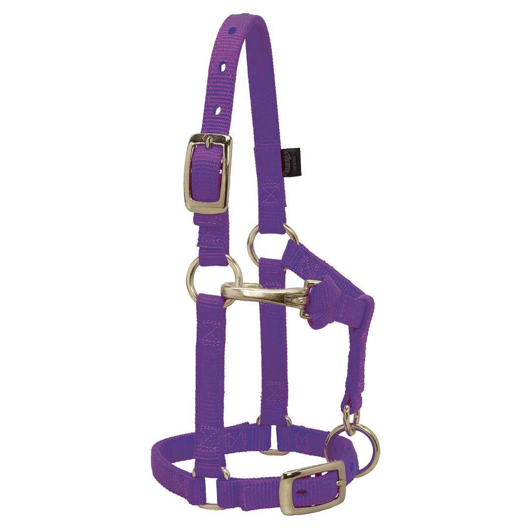 Weaver Miniature Horse Adjustable Throat Snap Halter - Image 4