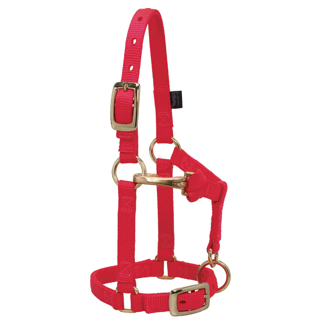 Weaver Miniature Horse Adjustable Throat Snap Halter - Image 5