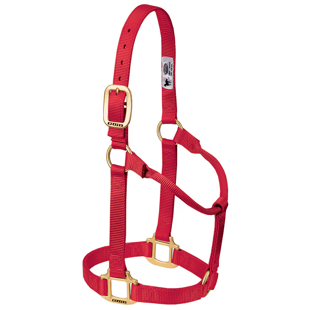 Weaver Original Non-Adjustable 1" Halter - Image 5